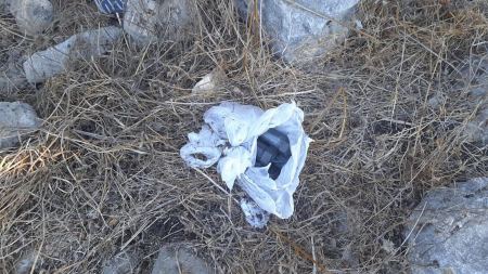 مشتبه بحيازة 4 عبوات ناسفة في منطقة مفتوحة في قرية عسفيا